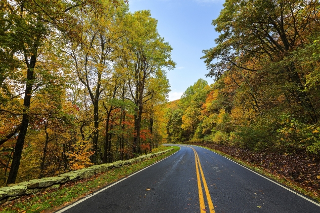 Autumn in VA | Goodwill Vehicle Donations 